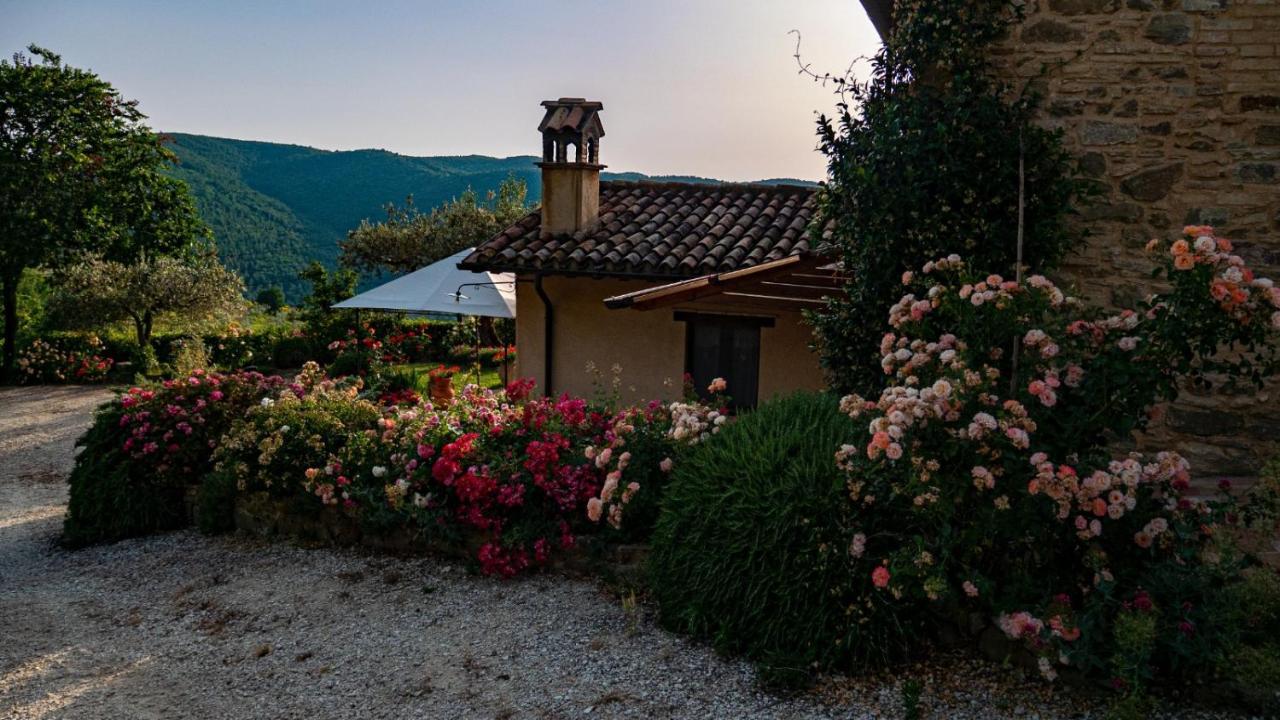 Il Casale Di Fiore Cannara Εξωτερικό φωτογραφία