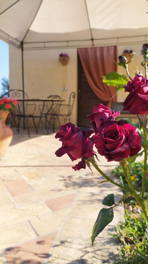 Il Casale Di Fiore Cannara Εξωτερικό φωτογραφία