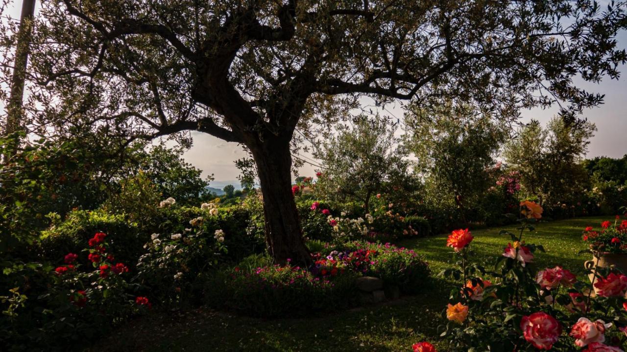 Il Casale Di Fiore Cannara Εξωτερικό φωτογραφία