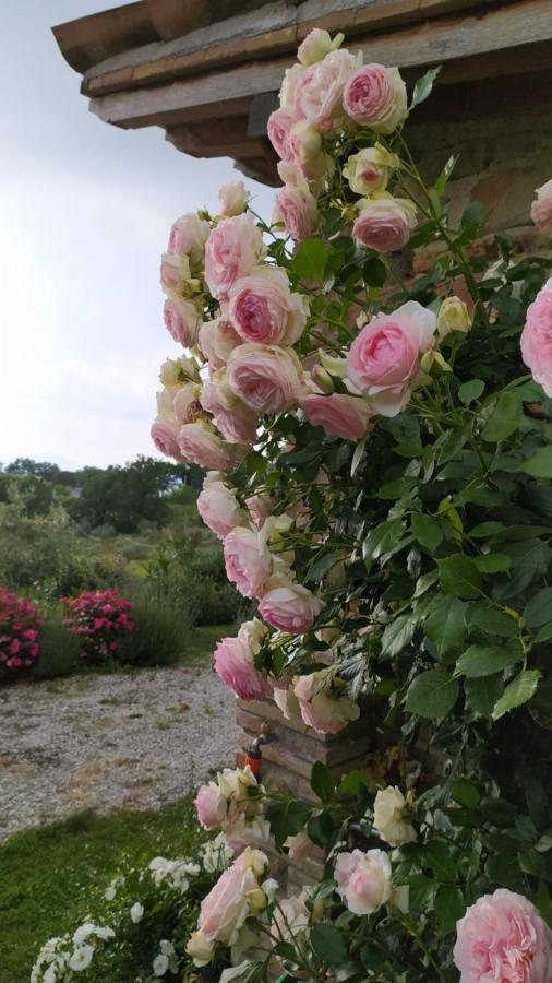 Il Casale Di Fiore Cannara Εξωτερικό φωτογραφία