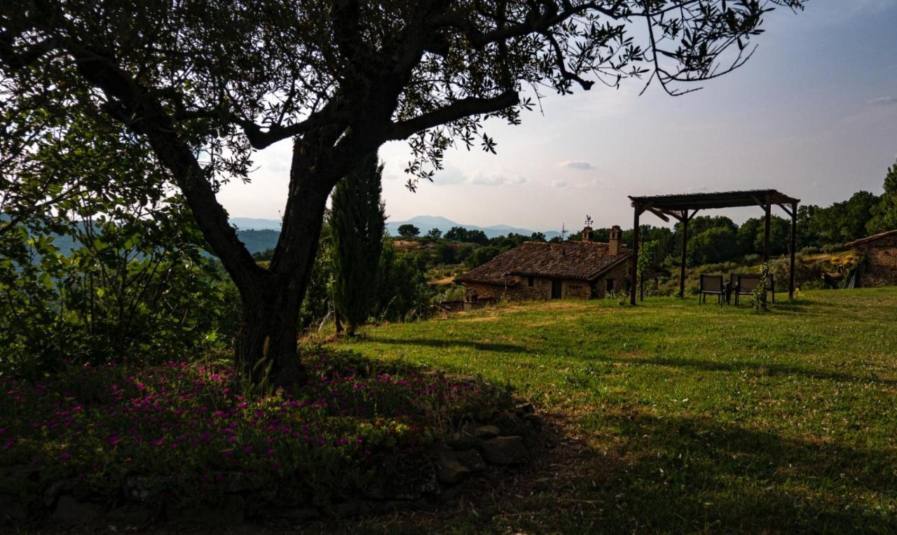Il Casale Di Fiore Cannara Εξωτερικό φωτογραφία