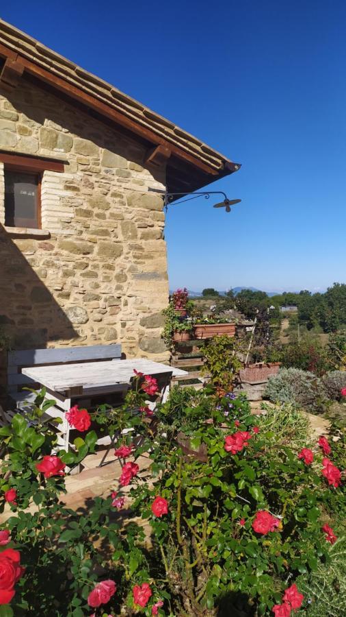 Il Casale Di Fiore Cannara Εξωτερικό φωτογραφία