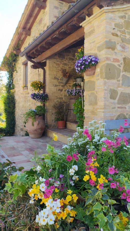 Il Casale Di Fiore Cannara Εξωτερικό φωτογραφία