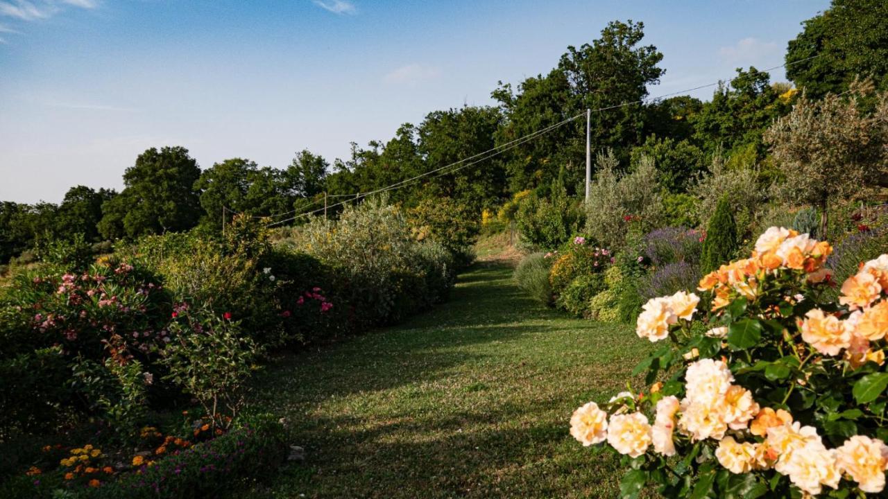Il Casale Di Fiore Cannara Εξωτερικό φωτογραφία