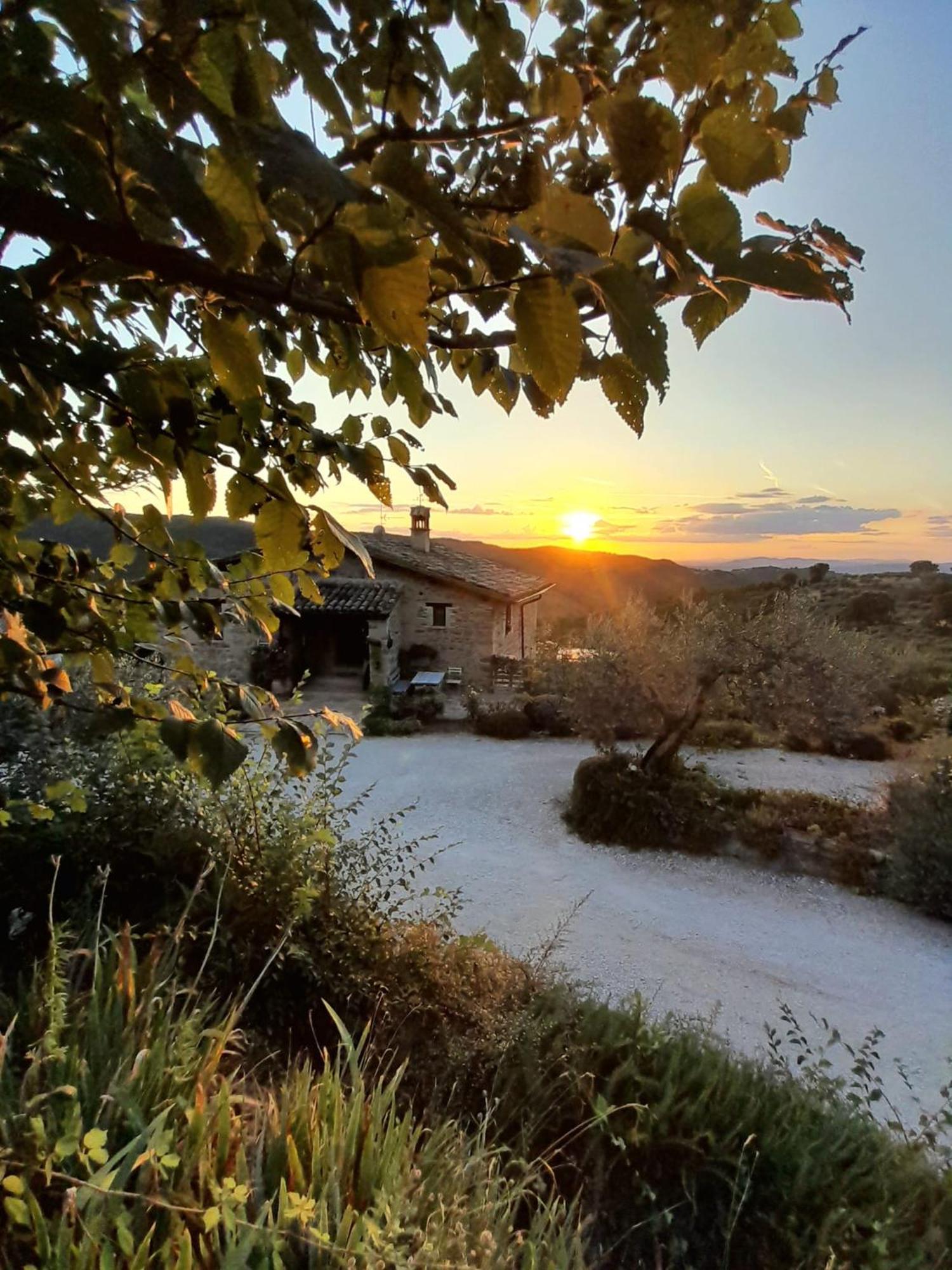 Il Casale Di Fiore Cannara Εξωτερικό φωτογραφία