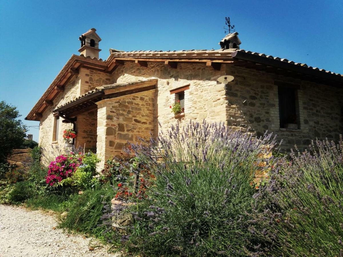 Il Casale Di Fiore Cannara Εξωτερικό φωτογραφία