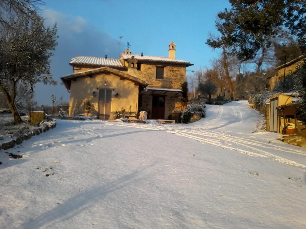Il Casale Di Fiore Cannara Εξωτερικό φωτογραφία